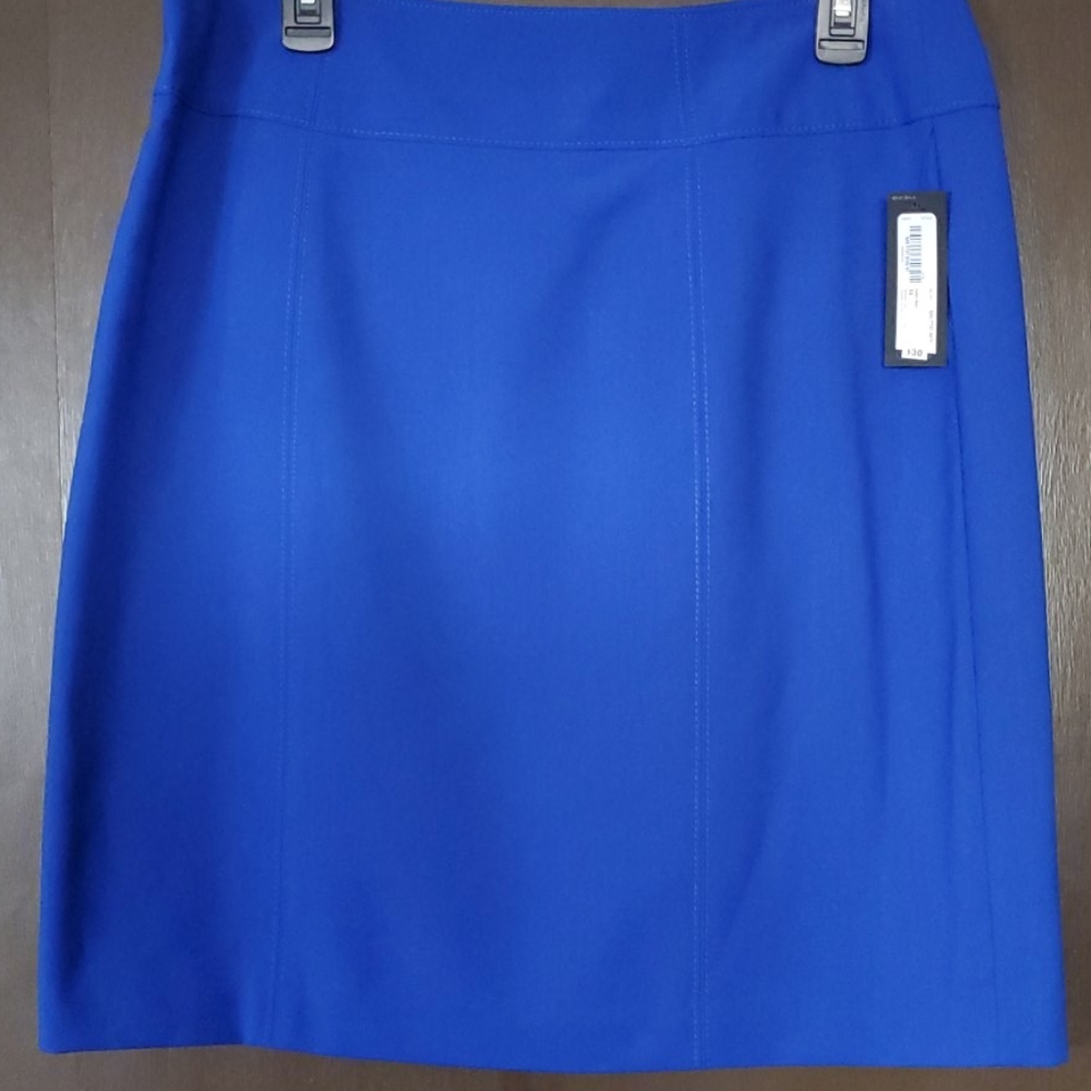 Beautiful Blue skirt